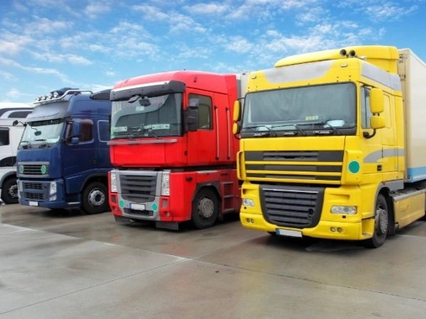 İzmir Maçka Nakliye